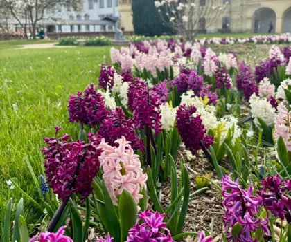 Státní zámek Lysice